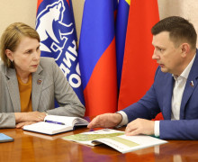Депутаты Калининграда и Тулы обсудили поддержку участников СВО и молодёжное сотрудничество