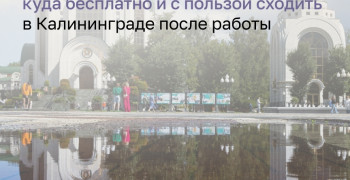Бесплатные мероприятия недели в Калининграде: фестиваль, лекция и ярмарка