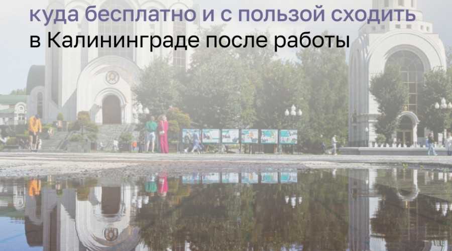 Бесплатные мероприятия недели в Калининграде: фестиваль, лекция и ярмарка