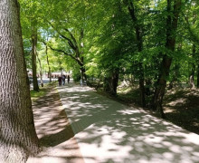 Калининградцы определят объекты для благоустройства в 2027 году