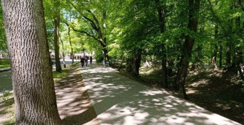 Калининградцы определят объекты для благоустройства в 2027 году