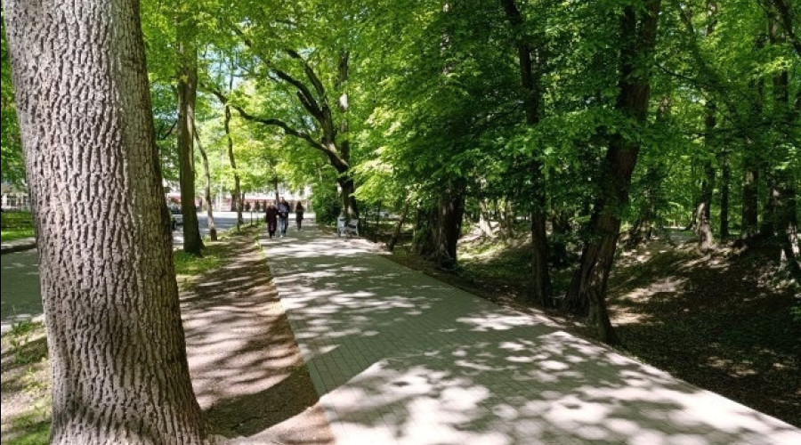 Калининградцы определят объекты для благоустройства в 2027 году