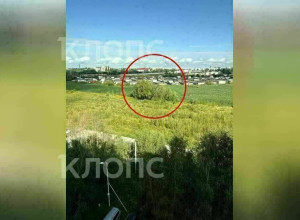 На окраине Калининграда найдено тело 25-летнего мужчины