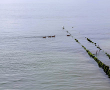 Фотографии заката на Балтийском море опубликовала жительница Калининграда