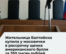 Суд взыскал с жительницы Балтийска 286,9 тысячи рублей за щенка