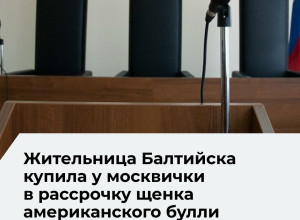 Суд взыскал с жительницы Балтийска 286,9 тысячи рублей за щенка