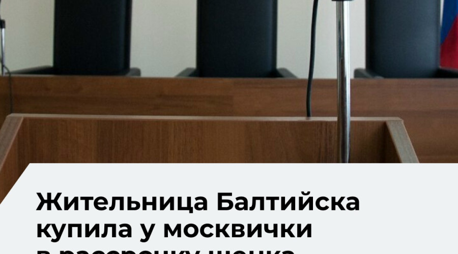 Суд взыскал с жительницы Балтийска 286,9 тысячи рублей за щенка