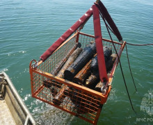 У затонувшей немецкой баржи у Балтийска находят проржавевшие боеприпасы, смещаемые штормами