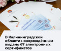 Электронный сертификат для новорождённых заменил денежную выплату в Калининградской области