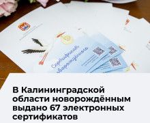 Электронный сертификат для новорождённых заменил денежную выплату в Калининградской области