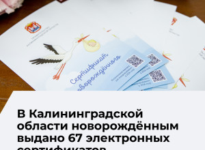 Электронный сертификат для новорождённых заменил денежную выплату в Калининградской области