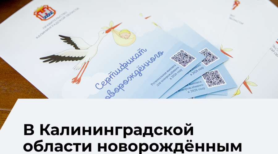 Электронный сертификат для новорождённых заменил денежную выплату в Калининградской области