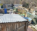 В Калининграде прокуратура требует закрыть приют для животных на Ангарской