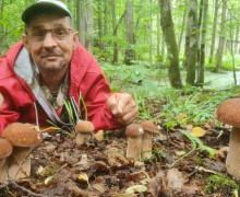 «Шли и плакали от счастья»: в лесах Калининградской области собирают рекордные урожаи грибов