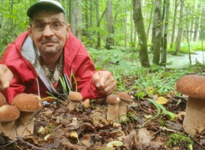 «Шли и плакали от счастья»: в лесах Калининградской области собирают рекордные урожаи грибов