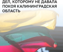 В Литве могут сменить главу МИД из-за высказываний о Калининградской области