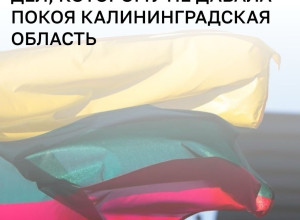 В Литве могут сменить главу МИД из-за высказываний о Калининградской области