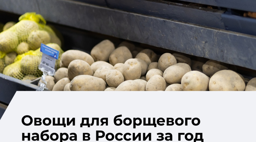 Стоимость продуктов для борща в России увеличилась почти на 40% за год