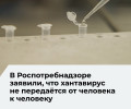 Роспотребнадзор: хантавирус в России вызывает только ГЛПС и не передаётся от человека к человеку