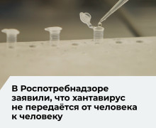 Роспотребнадзор: хантавирус в России вызывает только ГЛПС и не передаётся от человека к человеку