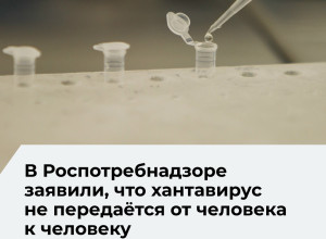 Роспотребнадзор: хантавирус в России вызывает только ГЛПС и не передаётся от человека к человеку