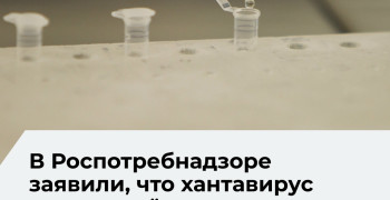 Роспотребнадзор: хантавирус в России вызывает только ГЛПС и не передаётся от человека к человеку