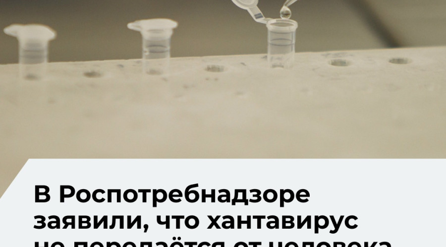 Роспотребнадзор: хантавирус в России вызывает только ГЛПС и не передаётся от человека к человеку