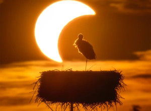 Польский фотограф запечатлел редкое солнечное затмение