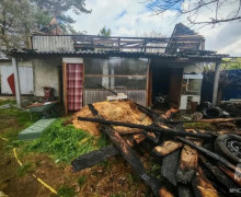 Сотрудники МЧС спасли свыше ста кроликов при пожаре в Светловском округе