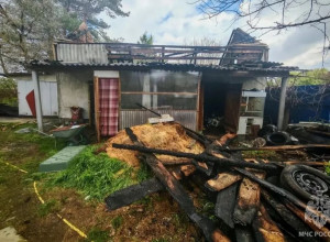 Сотрудники МЧС спасли свыше ста кроликов при пожаре в Светловском округе
