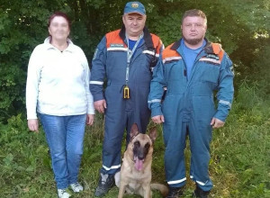 В Зеленоградском округе спасатели вывели из леса потерявшуюся женщину