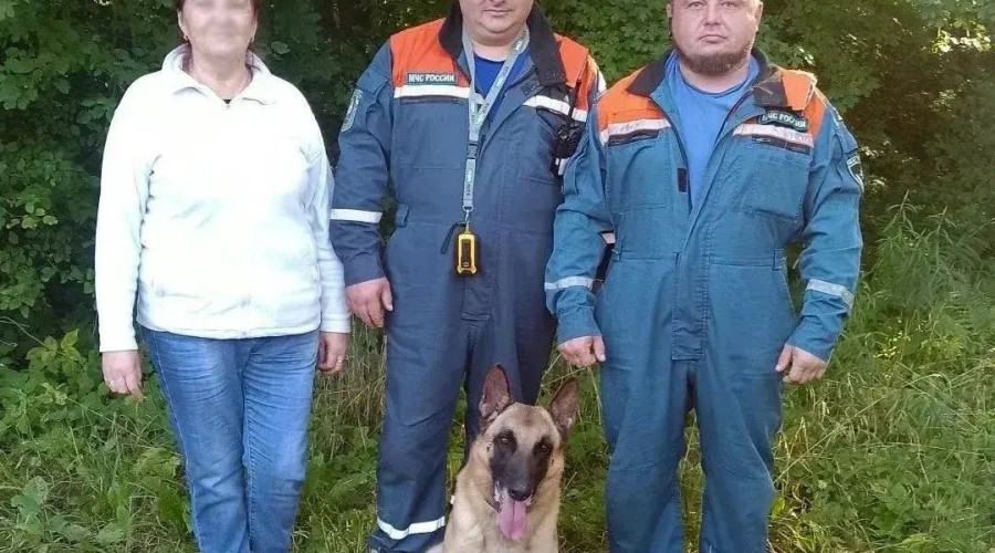 В Зеленоградском округе спасатели вывели из леса потерявшуюся женщину