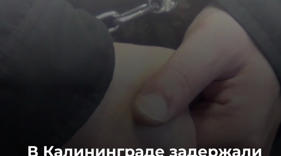 Житель Калининграда выращивал наркосодержащие растения в СНТ «Янтарь»