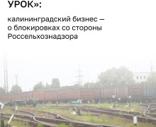 Калининградский бизнес призвал Россельхознадзор к большему вниманию в условиях санкций