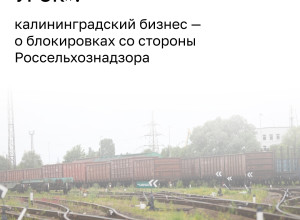 Калининградский бизнес призвал Россельхознадзор к большему вниманию в условиях санкций