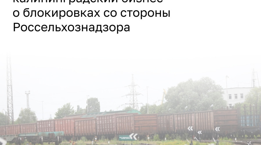 Калининградский бизнес призвал Россельхознадзор к большему вниманию в условиях санкций
