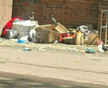 Вонь и насекомые: 6 мест в Калининграде, где в борьбе за место под солнцем выиграл мусор