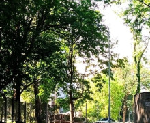 Благоустройство улицы Галицкого в Калининграде выходит на финишную прямую: власти принимают работы