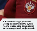 Работа детского центра «Умный кот» в Калининграде приостановлена на 90 суток