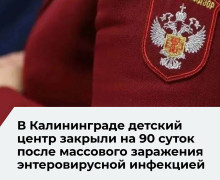 Работа детского центра «Умный кот» в Калининграде приостановлена на 90 суток