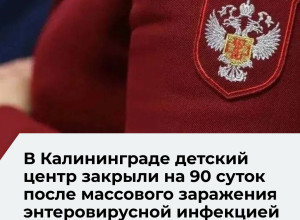 Работа детского центра «Умный кот» в Калининграде приостановлена на 90 суток