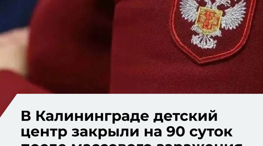 Работа детского центра «Умный кот» в Калининграде приостановлена на 90 суток