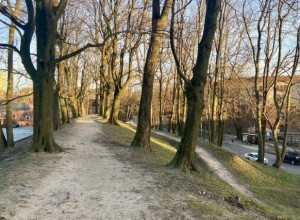 Часть укреплений Литовского вала в Калининграде передают Корпорации развития