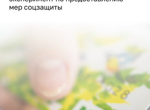 С 1 августа в России стартует эксперимент по предоставлению льгот держателям карт «Мир»