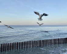 В Калининградской области 23 апреля прогнозируется усиление ветра