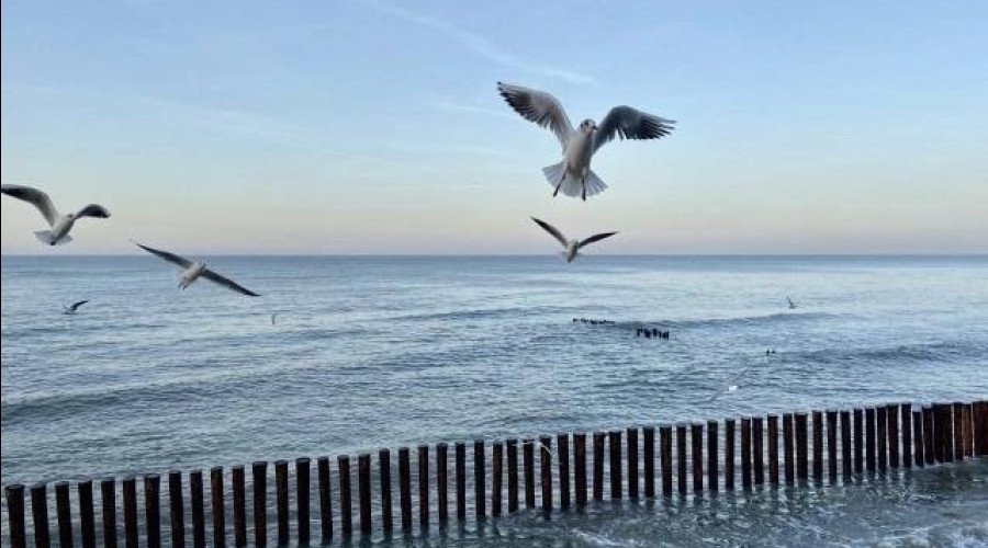 В Калининградской области 23 апреля прогнозируется усиление ветра