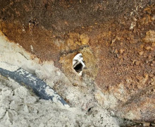 На Балтийской косе найден немецкий лёгкий танк «Рысь» времён Второй мировой войны