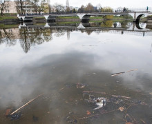 Нижнее озеро в Калининграде значительно обмелело