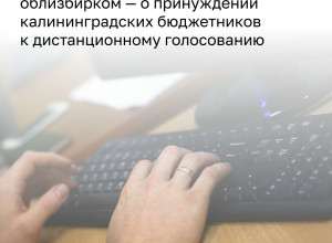 Облизбирком: планов по дистанционному голосованию бюджетников не существует