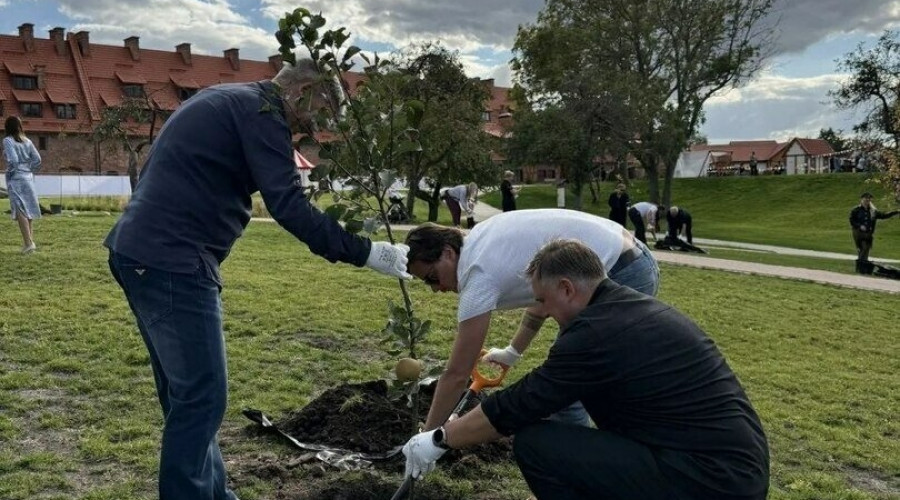 Маршрут «Форты и замки» в Калининградской области можно растянуть на 4–5 дней